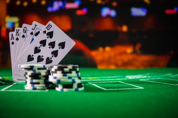 pola4d What Makes Bingo Stand Out